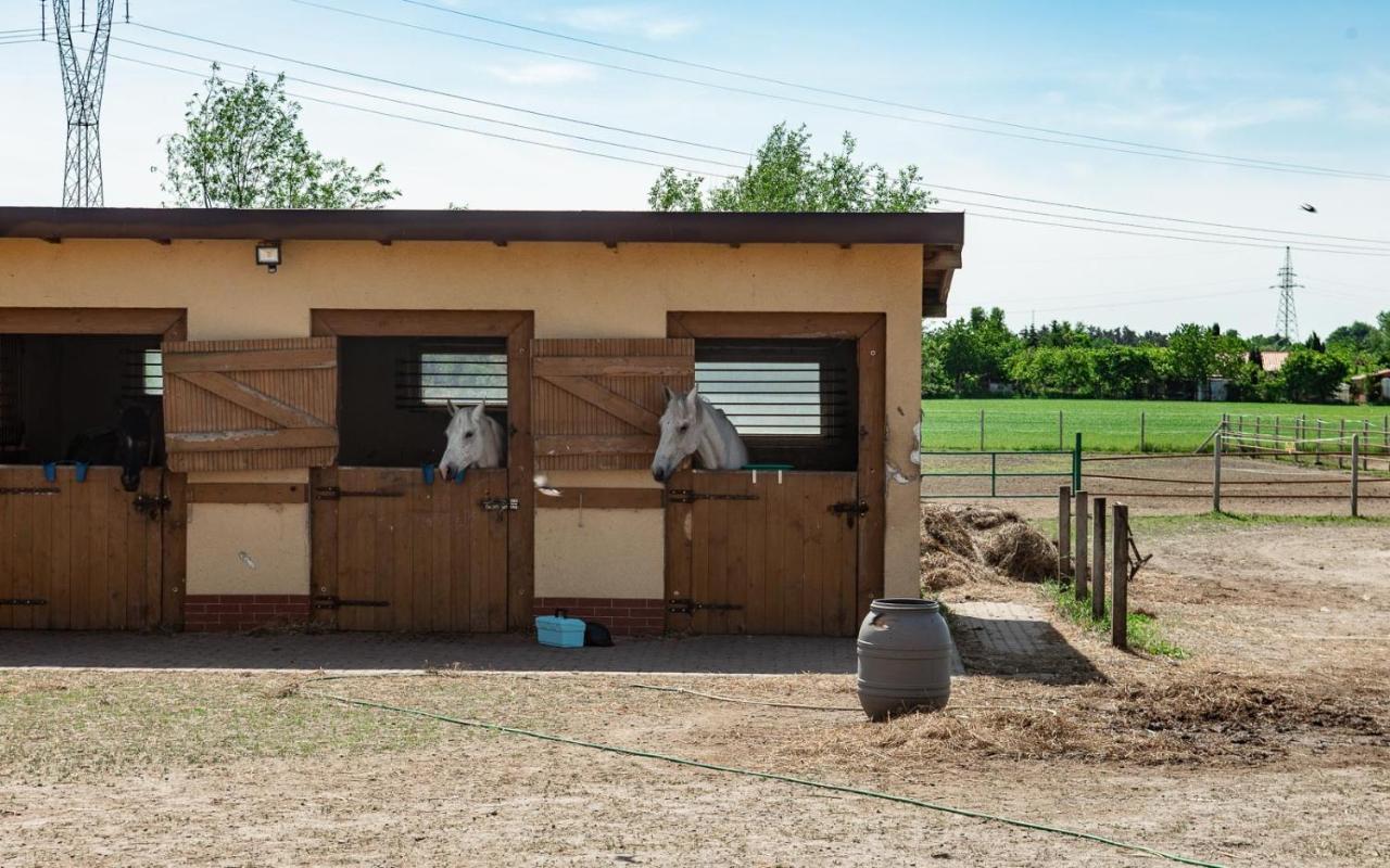 Podkowa Villa Police Bagian luar foto